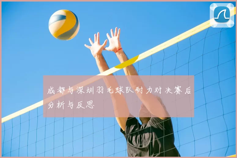 成都与深圳羽毛球队耐力对决赛后分析与反思
