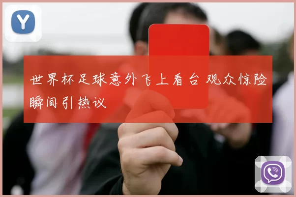 世界杯足球意外飞上看台 观众惊险瞬间引热议