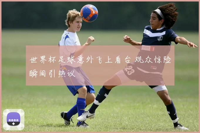 世界杯足球意外飞上看台 观众惊险瞬间引热议