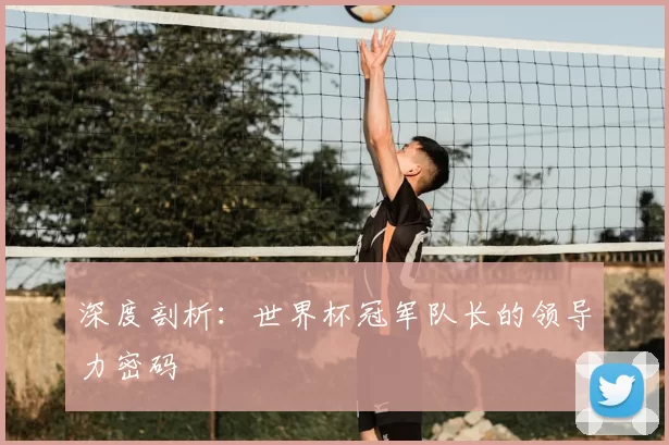 深度剖析：世界杯冠军队长的领导力密码