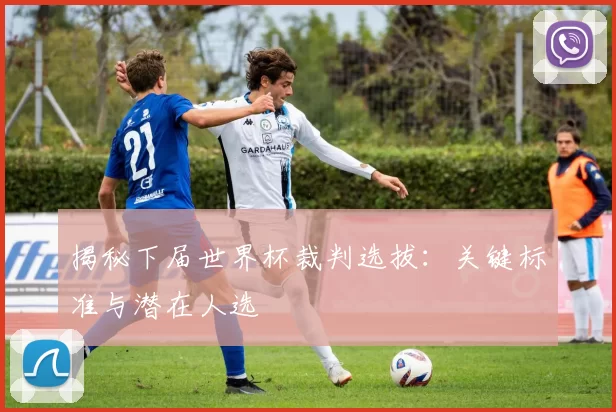 揭秘下届世界杯裁判选拔:关键标准与潜在人选
