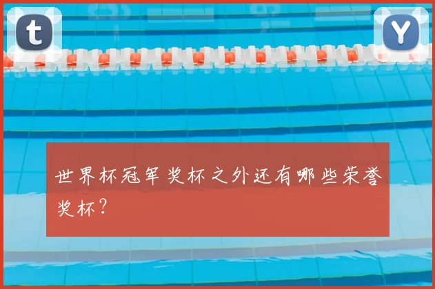 世界杯冠军奖杯之外还有哪些荣誉奖杯?