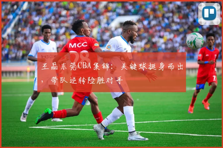 王晶东莞CBA集锦：关键球挺身而出，带队逆转险胜对手