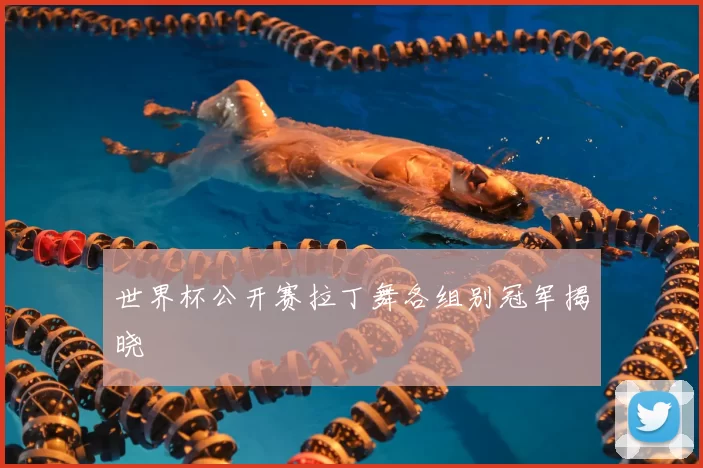 世界杯公开赛拉丁舞各组别冠军揭晓