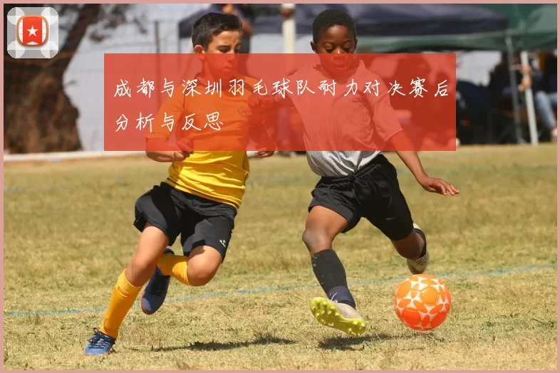 成都与深圳羽毛球队耐力对决赛后分析与反思