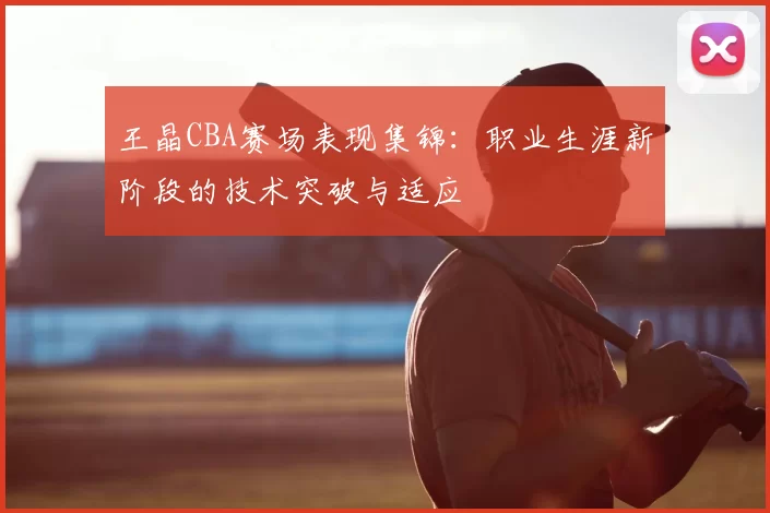 王晶CBA赛场表现集锦：职业生涯新阶段的技术突破与适应