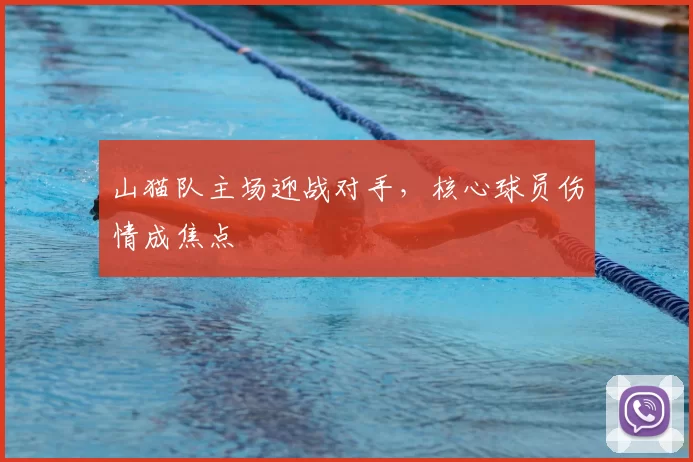 山猫队主场迎战对手,核心球员伤情成焦点