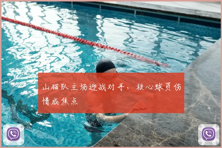 山猫队主场迎战对手,核心球员伤情成焦点