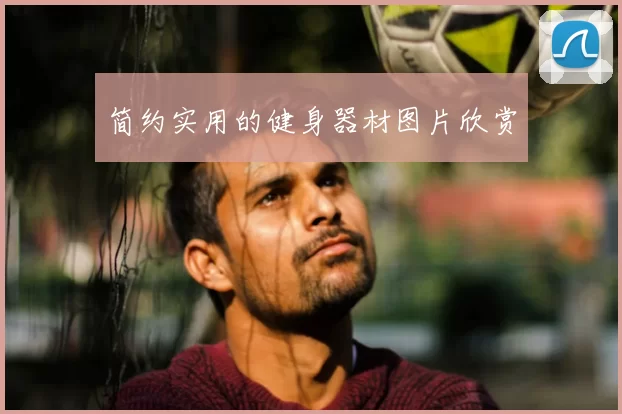 简约实用的健身器材图片欣赏