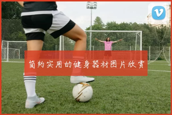 简约实用的健身器材图片欣赏