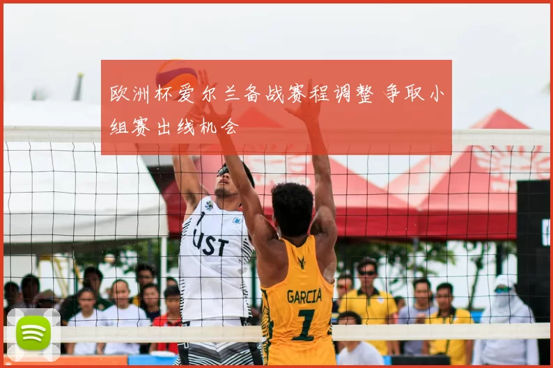 欧洲杯爱尔兰备战赛程调整 争取小组赛出线机会