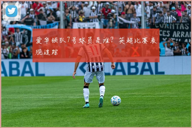 爱华顿队7号球员是谁？英超比赛表现追踪