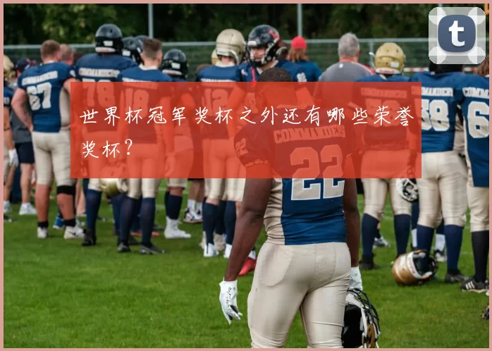 世界杯冠军奖杯之外还有哪些荣誉奖杯?