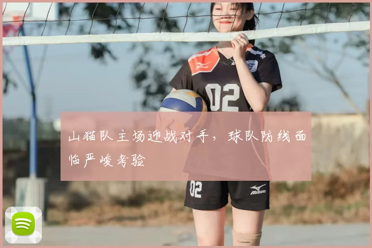 山猫队主场迎战对手,球队防线面临严峻考验
