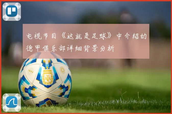 电视节目《这就是足球》中介绍的德甲俱乐部详细背景分析