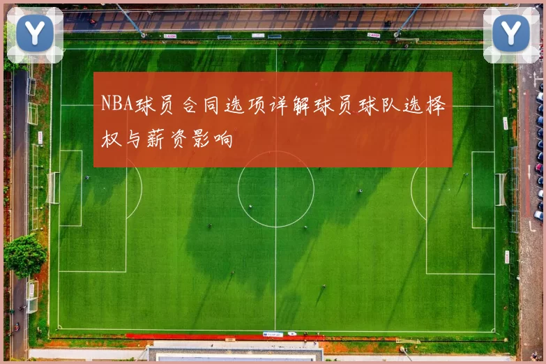 NBA球员合同选项详解球员球队选择权与薪资影响