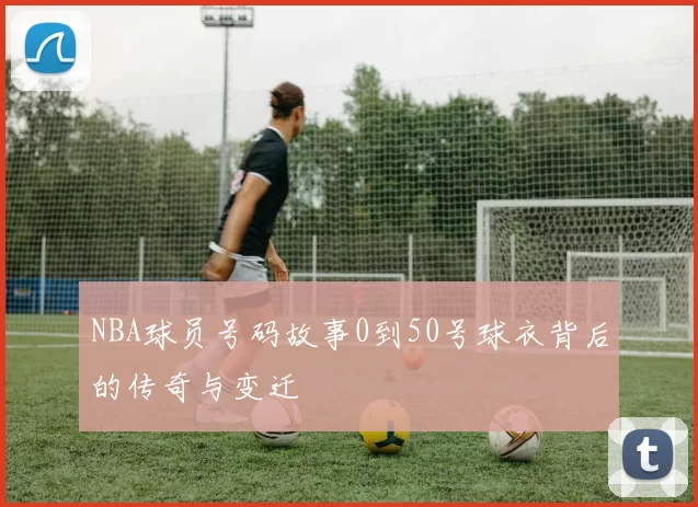 NBA球员号码故事0到50号球衣背后的传奇与变迁