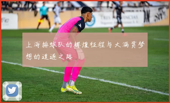上海排球队的辉煌征程与大满贯梦想的追逐之路