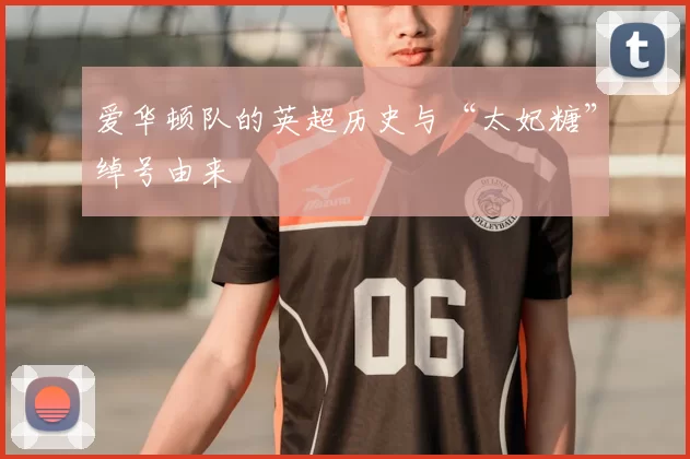 爱华顿队的英超历史与“太妃糖”绰号由来