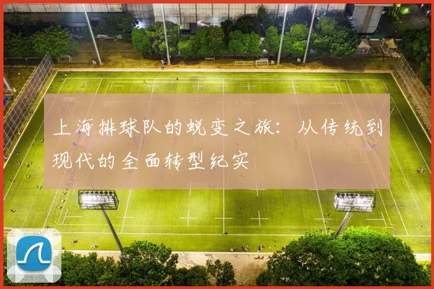 上海排球队的蜕变之旅:从传统到现代的全面转型纪实