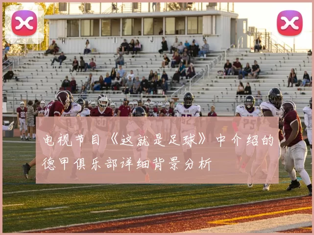 电视节目《这就是足球》中介绍的德甲俱乐部详细背景分析