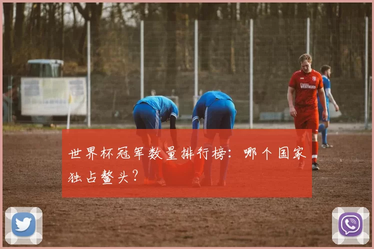 世界杯冠军数量排行榜:哪个国家独占鳌头?