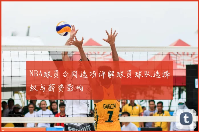 NBA球员合同选项详解球员球队选择权与薪资影响